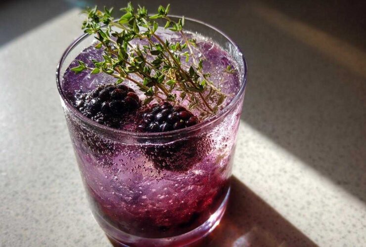 Blackberry Thyme Gin Fizz