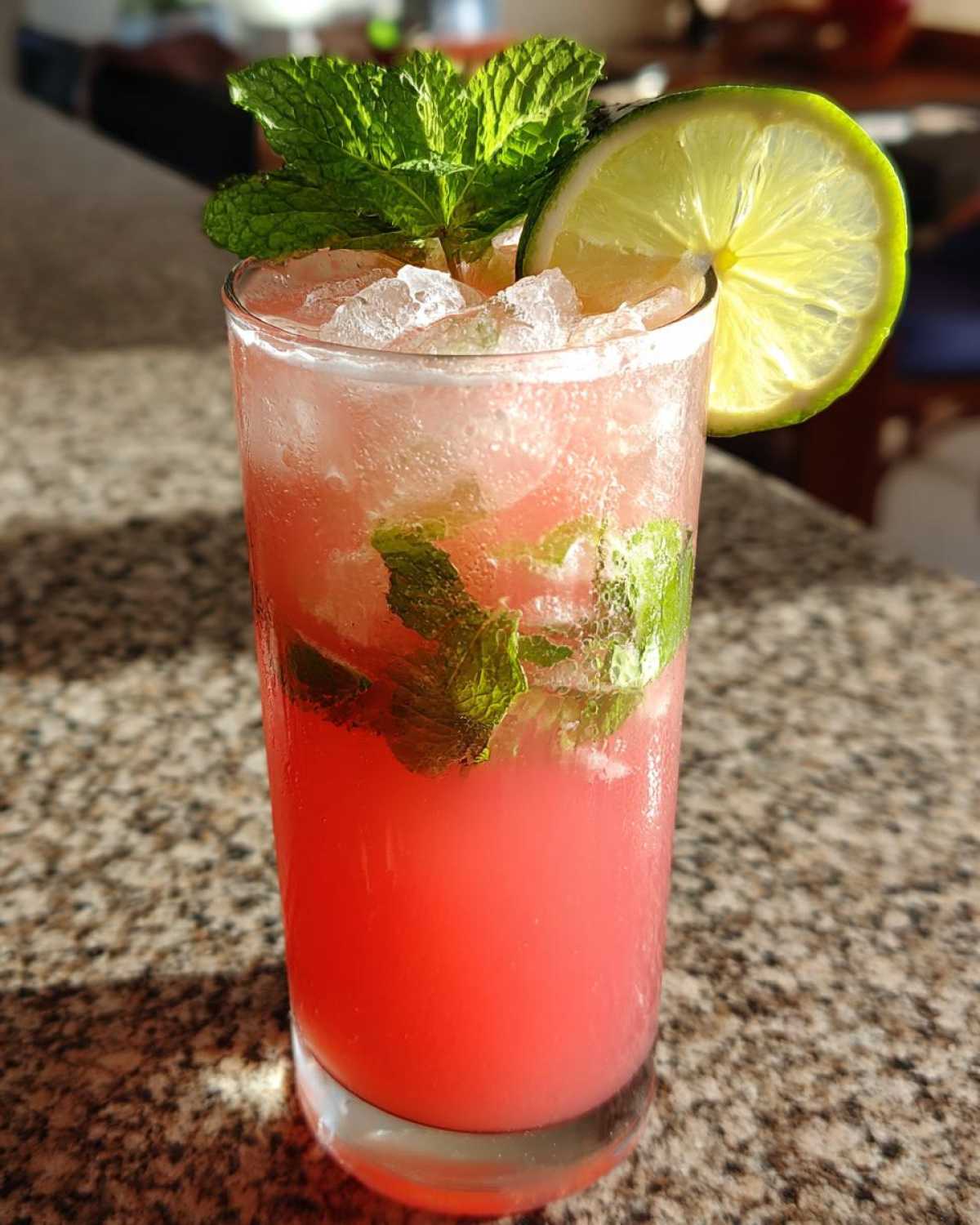 Watermelon Mint Limeade - detail 2
