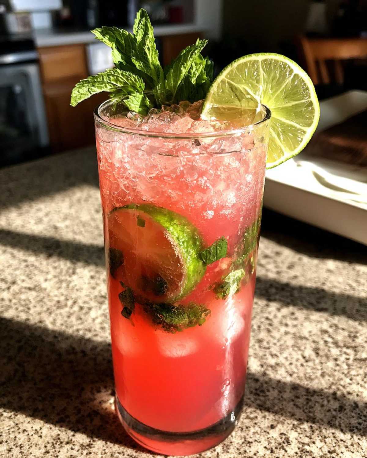 Watermelon Mint Limeade - detail 4