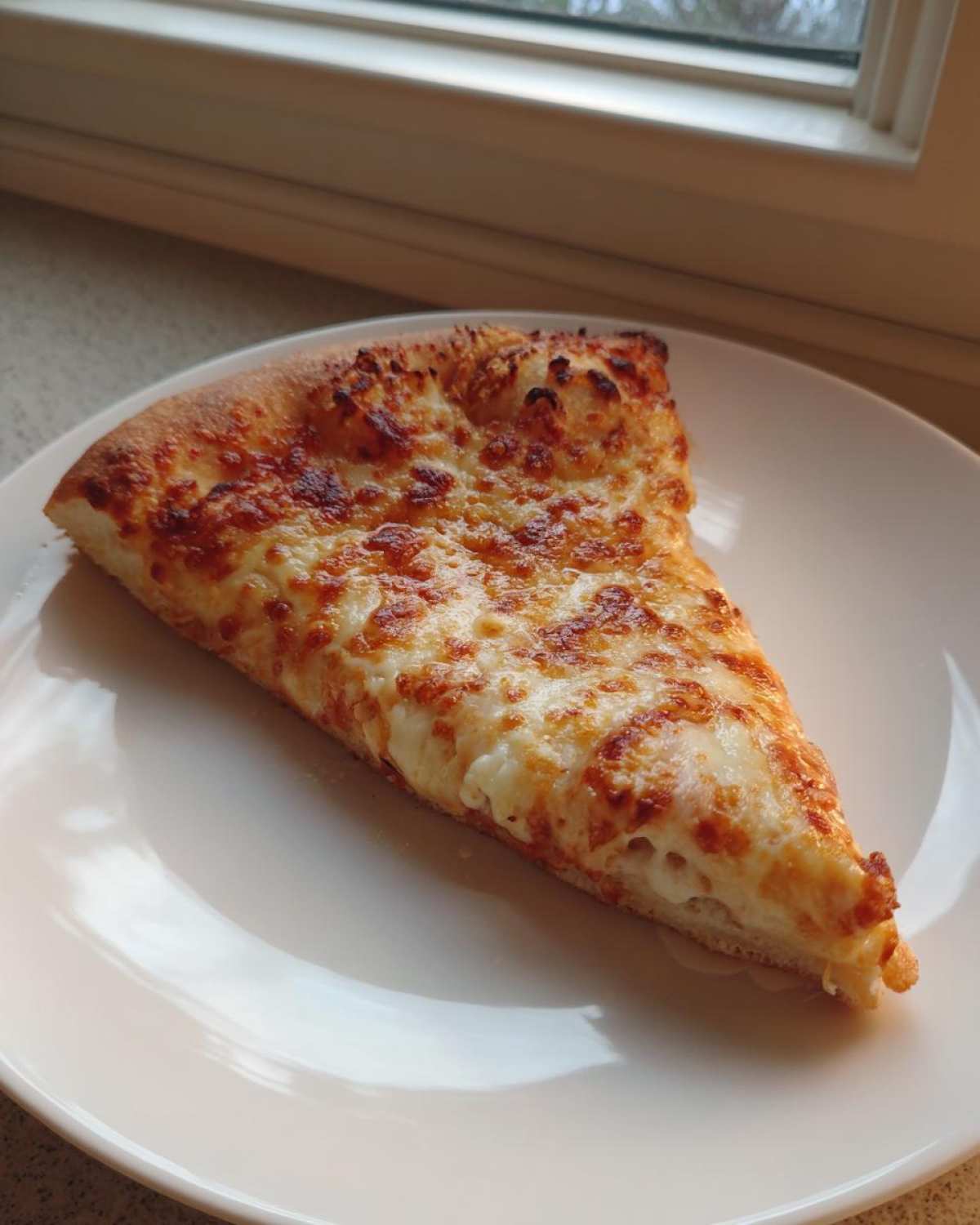 A single slice of cheese pizza with bubbly, browned cheese resting on a white plate, made from sourdough discard pizza dough.
