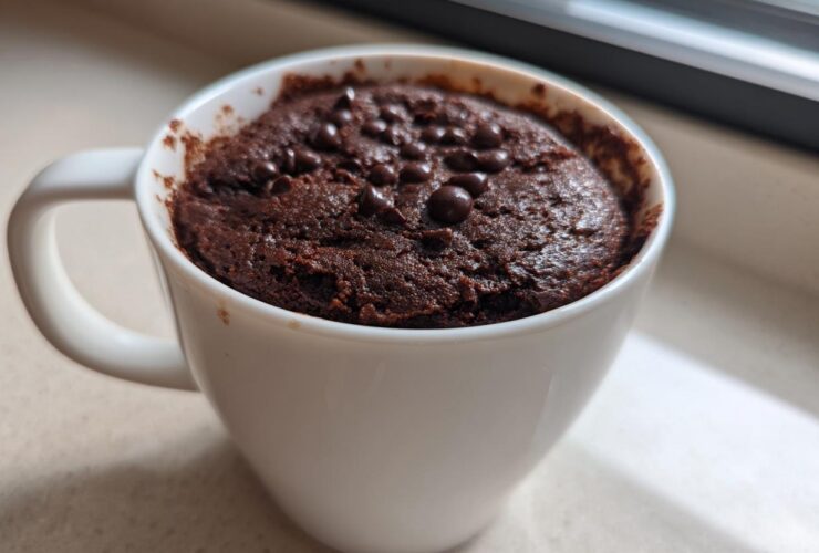 Close-up of a rich, fudgy chocolate mug cake topped with chocolate chips, ready to eat.