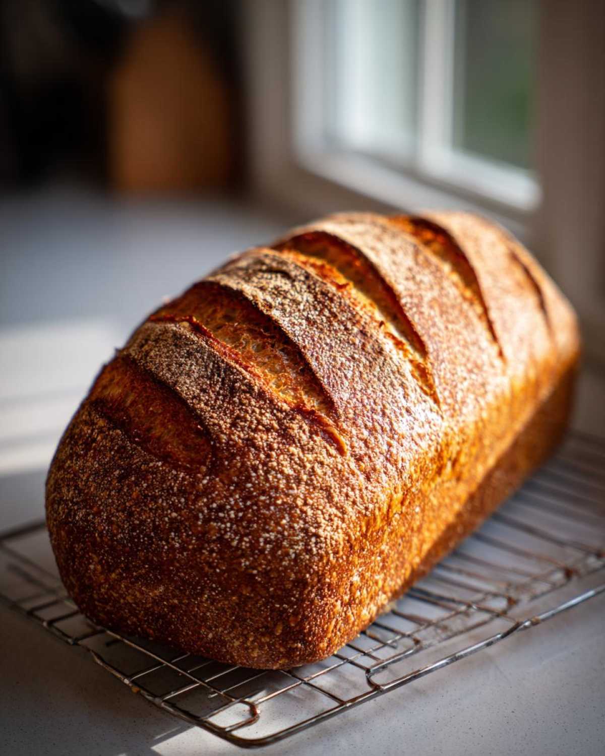 A beautifully scored, crusty loaf of freshly baked Italian bread cooling on a wire rack near a window.