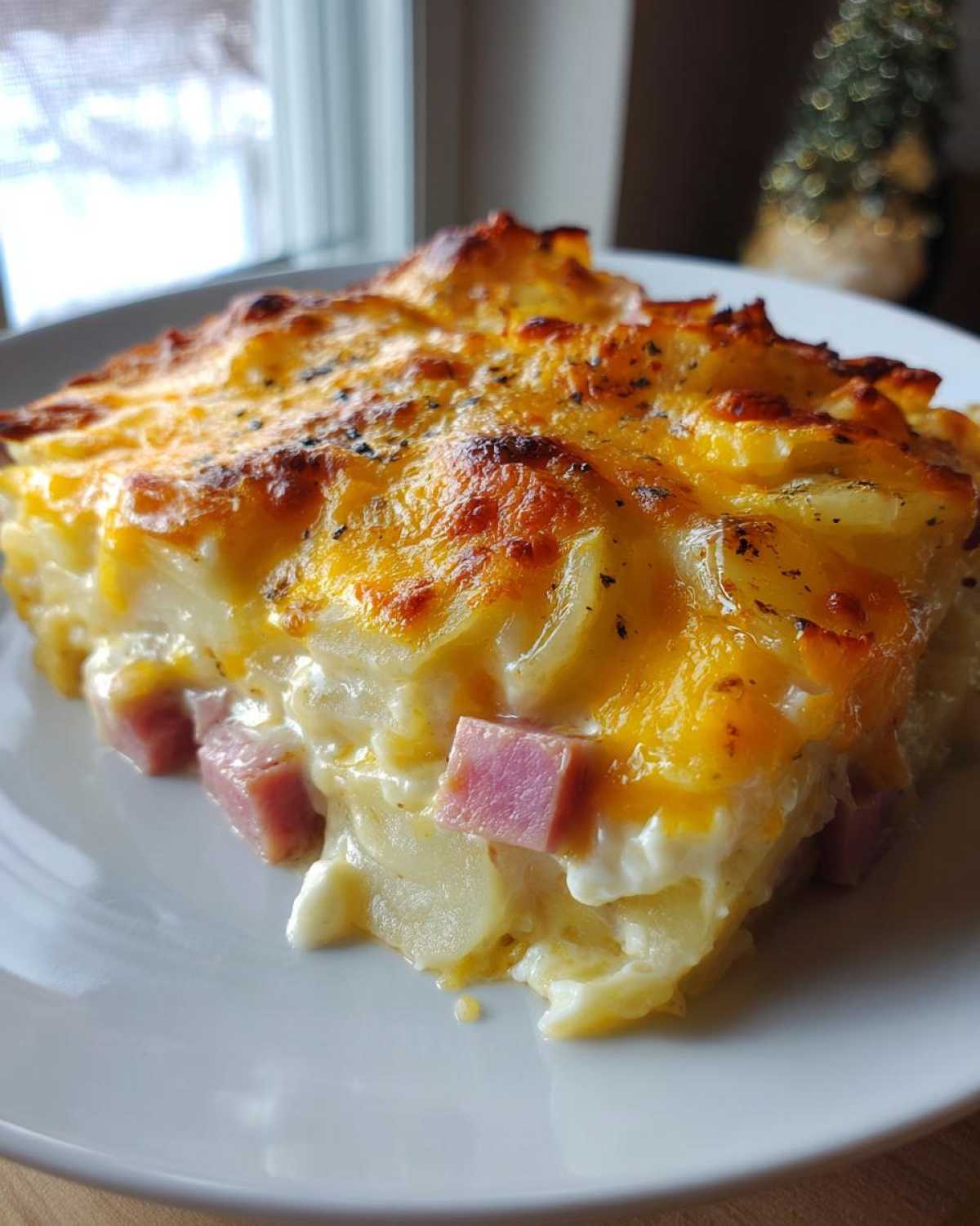 A close-up slice of creamy scalloped potatoes and ham topped with melted, browned cheese.